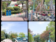 -海合安武汉极地海洋公园