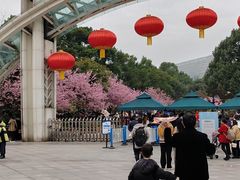 -南山植物园