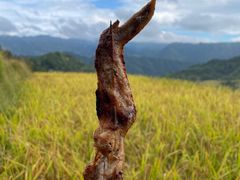 -龙脊梯田