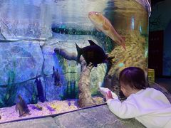 -沈阳海洋探索中心