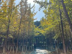 -艾溪湖湿地公园