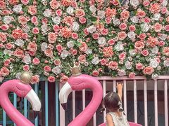 -郑州方特梦幻王国