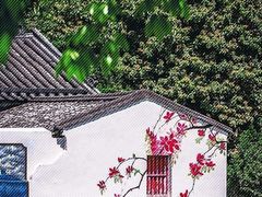 -沙美村