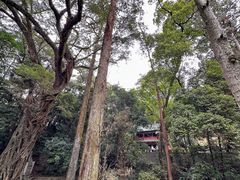 -南华禅寺