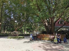 -徐家汇源景区-衡山公园