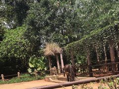 -海南热带野生动植物园