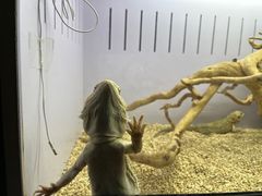 -昆明大悦城未来动物城(螺蛳湾中心店)