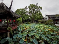 -上海醉白池公园