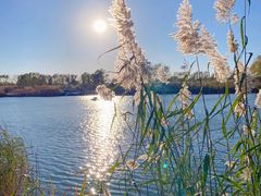 -大兴滨河森林公园