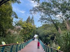 -上海吴淞炮台湾国家湿地公园