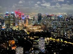 -上海龙之梦万丽酒店