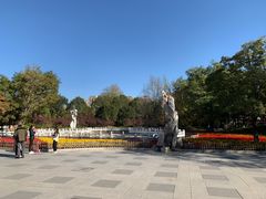 -丰台花园