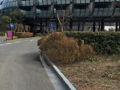 -上海滴水湖皇冠假日酒店