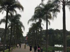 -南宁南湖公园