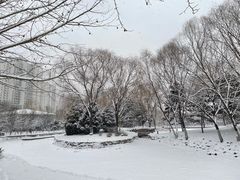 -望湖公园