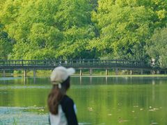 -西湖风景区-江洋畈生态公园