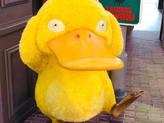 -新城市广场
