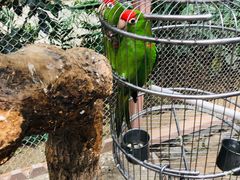 -南宫五洲植物乐园