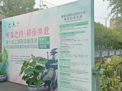 -陈家山荷花公园