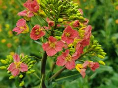 -中国天府农业博览园