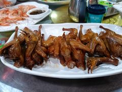 -东鸽皇(奥园·中环广场店)