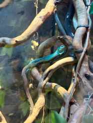 -Zoolung Zoolung动物主题公园(海信广场店)