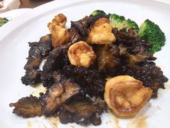 -鲁宴·鲁煨黄河生态大鲤鱼(月坛店)