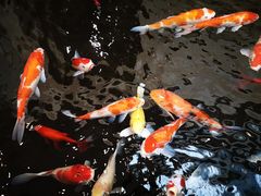 -天津波士信达奔驰4S店(卫津南路店)