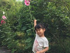 -崇明东平国家森林公园烧烤房车露营地