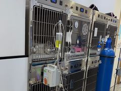 -萌兽医馆·绝育·24小时内科·宠物医院(德胜店)