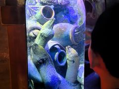 -太平洋海底世界