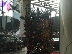 -广州科尔海悦酒店