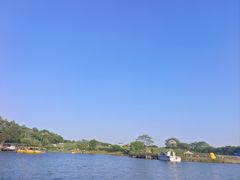-大塘金香草谷