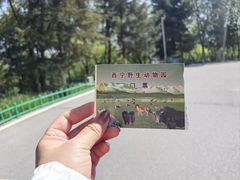 -青藏高原野生动物园