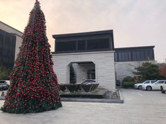 -上海崇明金茂凯悦酒店