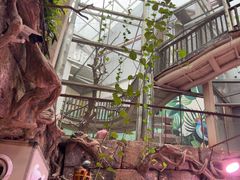 -正佳雨林生态植物园