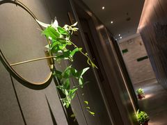 -禧瑞 ·丝浴主题·水疗·spa(中山公园店)
