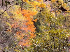 -东天目山风景区