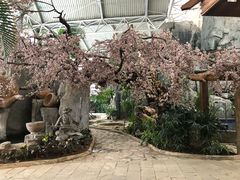 -北京瑞麟湾温泉度假酒店
