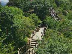 -大岭沟猕猴桃谷风景区