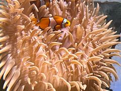 -太平洋海底世界