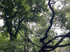 -绮园景区