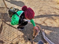 -费瑟代尔野生动物园