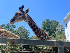 -水上乐园·欢乐世界