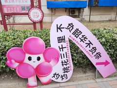 -桃花堤公园