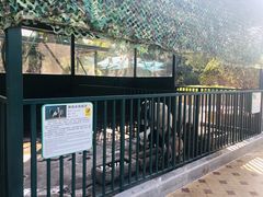 -青岛鑫江温德姆酒店