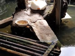 -优之名鹅城