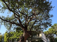 -九龙公园