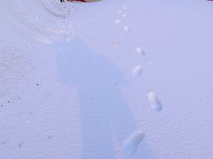 -采薇庄园四季滑雪场