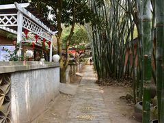 -老木棉·匠园